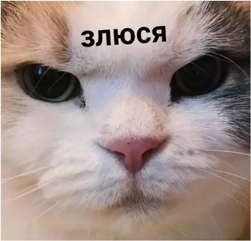 👿 Стикер «Миу боты» для Telegram