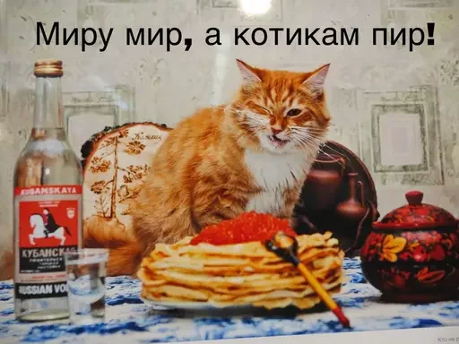 🍽 Стикер «Миу боты» для Telegram