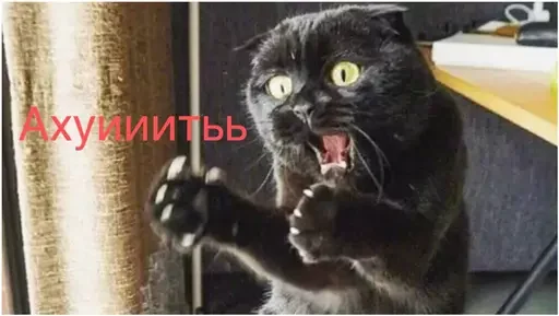 😦 Стикер «Миу боты» для Telegram