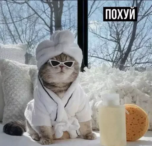 ☝️ Стикер «Миу боты» для Telegram