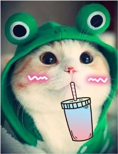 🥤 Стикер «Миу боты» для Telegram
