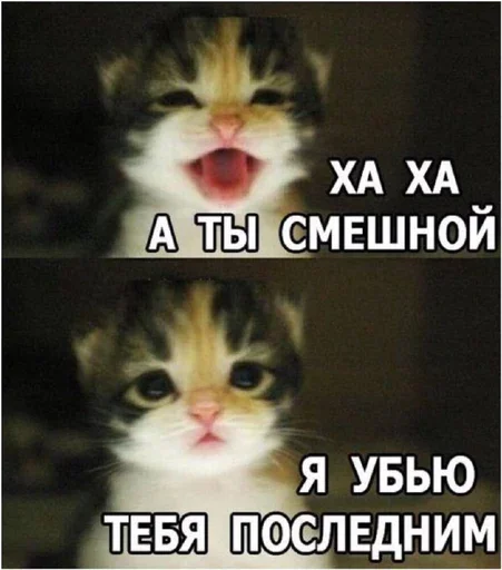 😏 Стикер «Миу боты» для Telegram