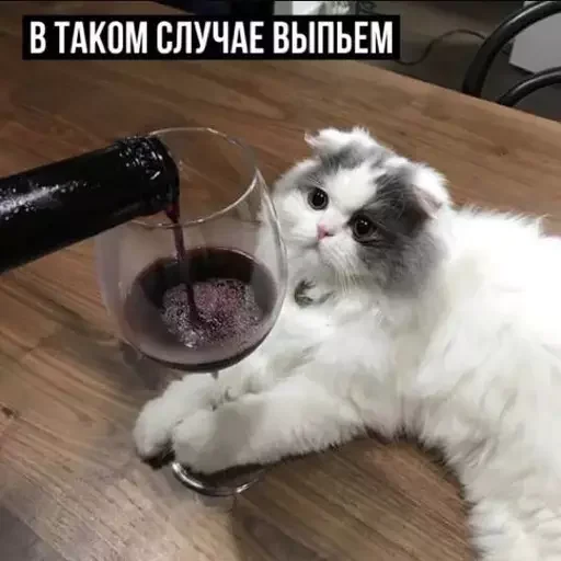 🍷 Стикер «Миу боты» для Telegram