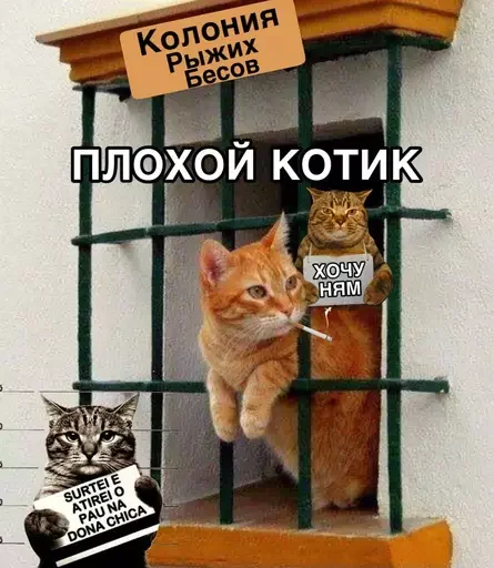 #️⃣ Стикер «MeowBots 2» для Telegram
