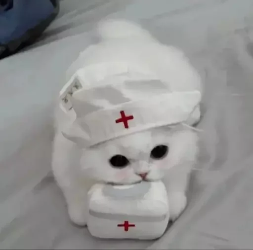 💊 Стикер «MeowBots 2» для Telegram