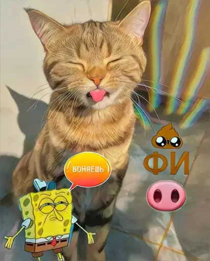 🐽 Стикер «MeowBots 2» для Telegram