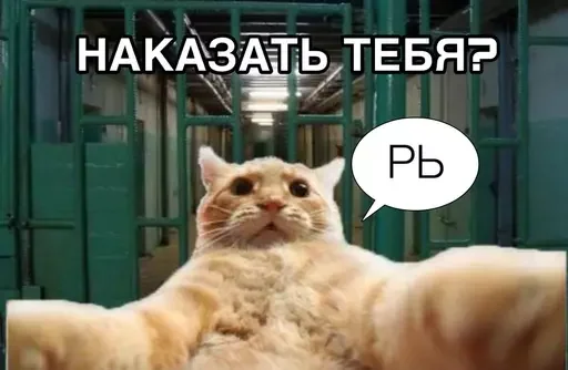 😡 Стикер «MeowBots 2» для Telegram