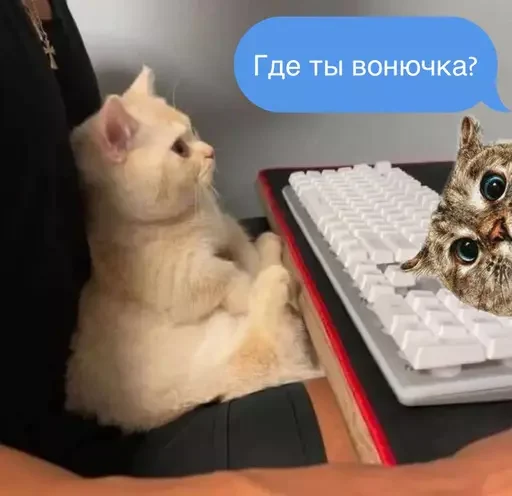 🛎 Стикер «MeowBots 2» для Telegram