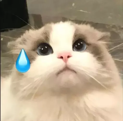 😿 Стикер «MeowBots 2» для Telegram