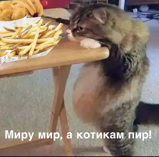 🍗 Стикер «MeowBots 2» для Telegram