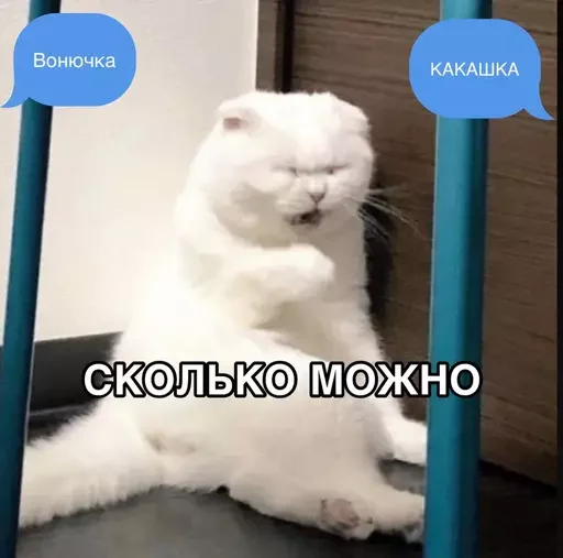 🤯 Стикер «MeowBots 2» для Telegram