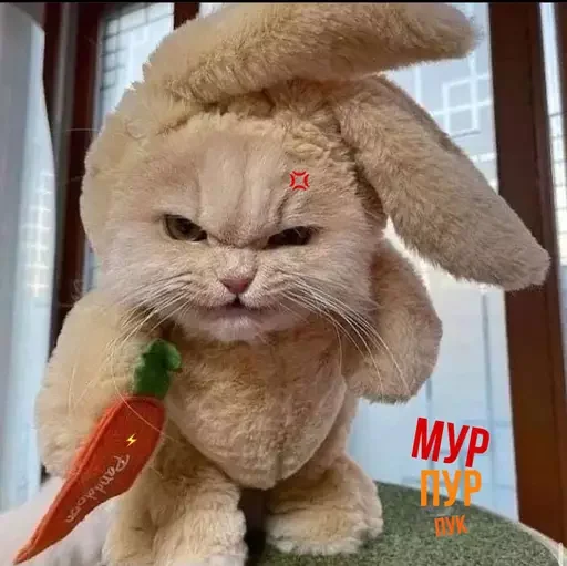 🥕 Стикер «MeowBots 2» для Telegram