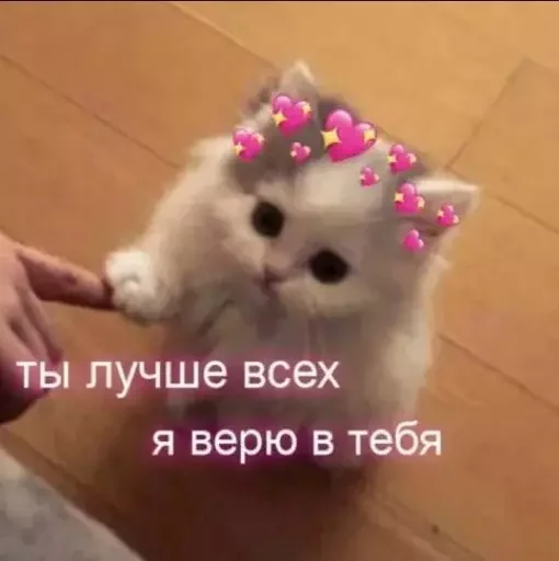 💕 Стикер «MeowBots 2» для Telegram