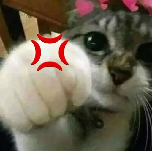 💢 Стикер «MeowBots 2» для Telegram