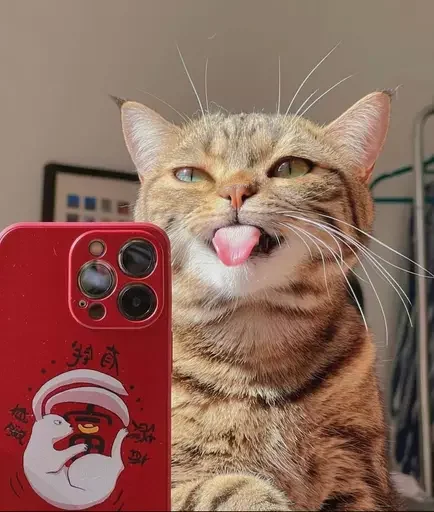 😜 Стикер «MeowBots 2» для Telegram