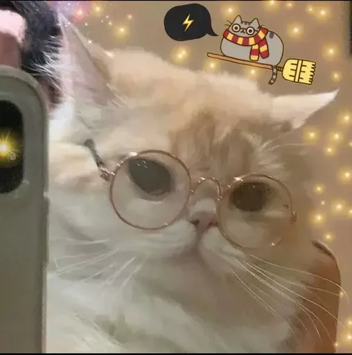 ⚡️ Стикер «MeowBots 2» для Telegram