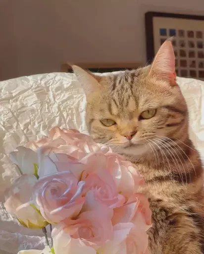 🌸 Стикер «MeowBots 2» для Telegram