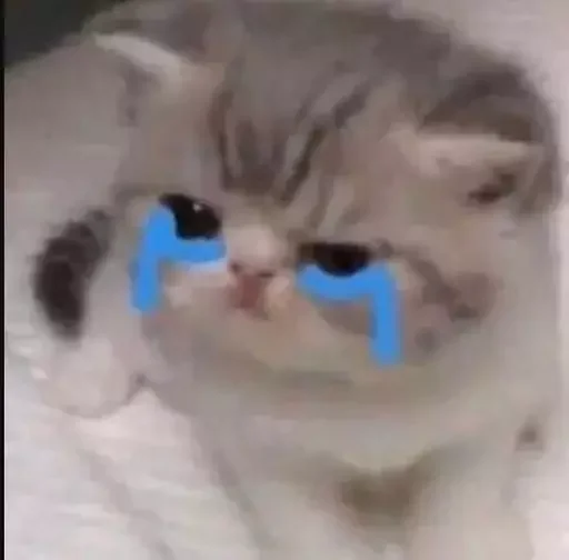 😭 Стикер «MeowBots 2» для Telegram