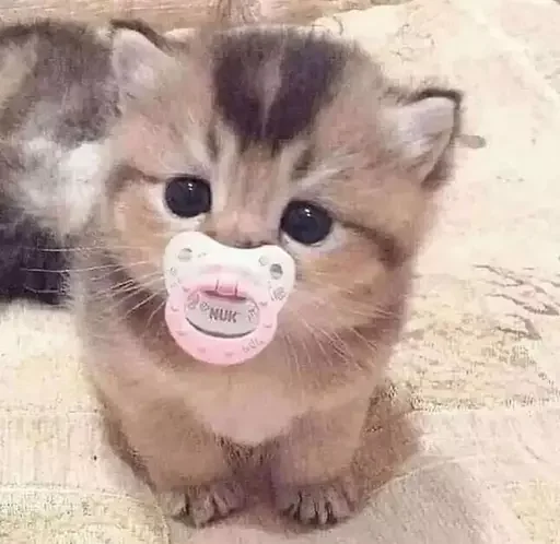 👶 Стикер «MeowBots 2» для Telegram