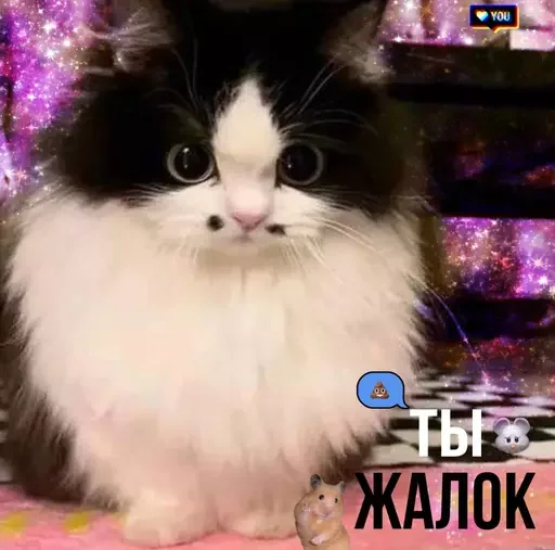😮‍💨 Стикер «MeowBots 2» для Telegram