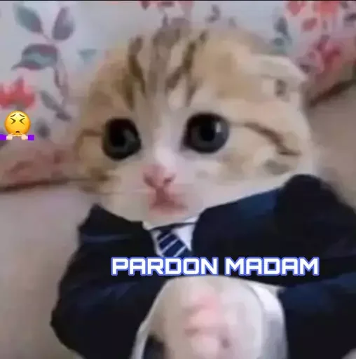🤌 Стикер «MeowBots 2» для Telegram