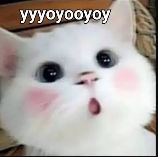 😯 Стикер «MeowBots 2» для Telegram