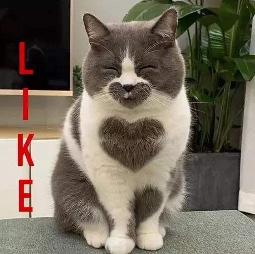👍 Стикер «MeowBots 2» для Telegram