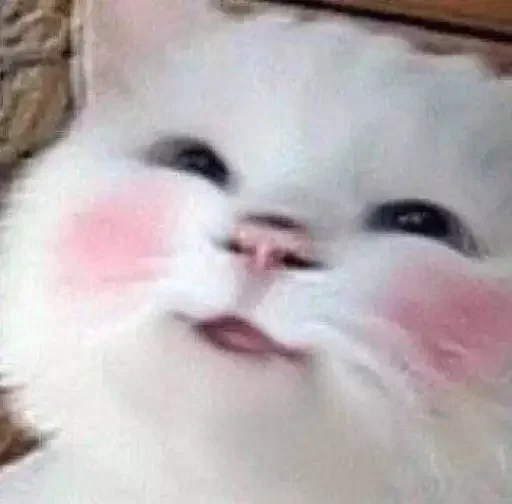 ☺️ Стикер «MeowBots 2» для Telegram