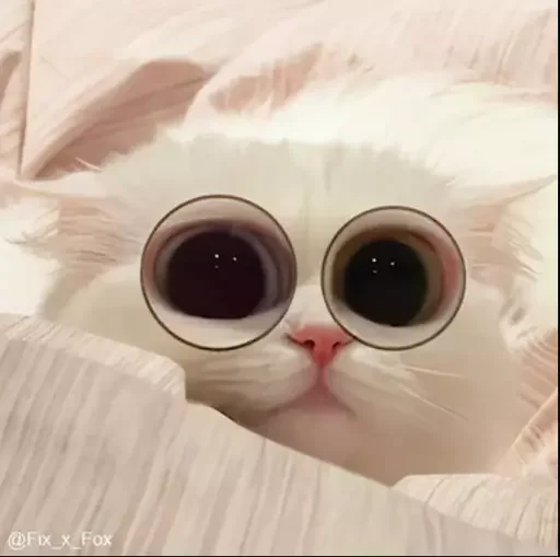 😳 Стикер «MeowBots 2» для Telegram