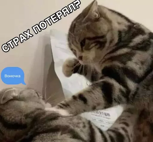 🤠 Стикер «MeowBots 2» для Telegram