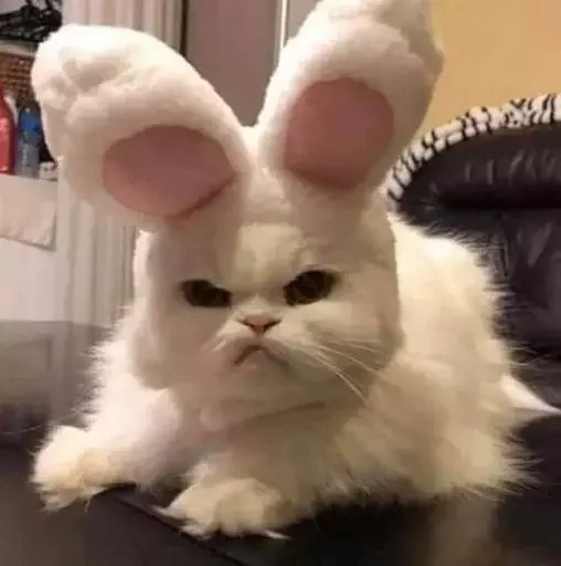 🐰 Стикер «MeowBots 2» для Telegram