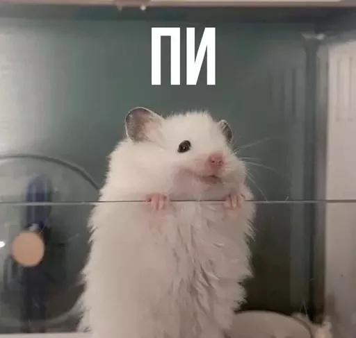 🐭 Стикер «MeowBots 2» для Telegram
