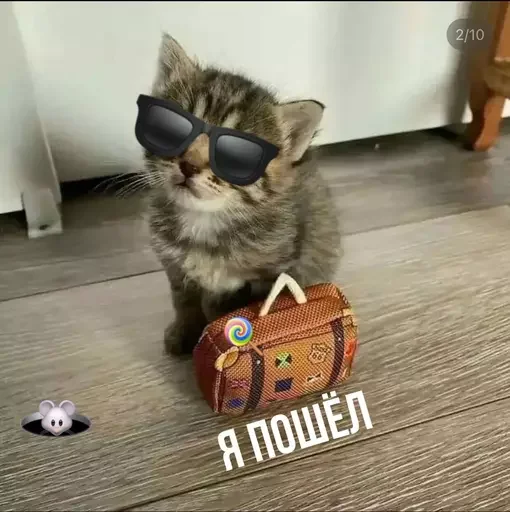 🧳 Стикер «MeowBots 2» для Telegram