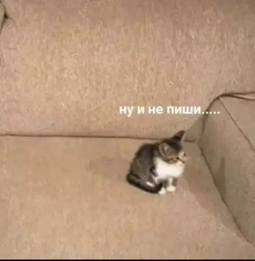 😮‍💨 Стикер «MeowBots 2» для Telegram