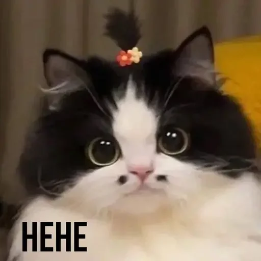 😄 Стикер «MeowBots 3» для Telegram