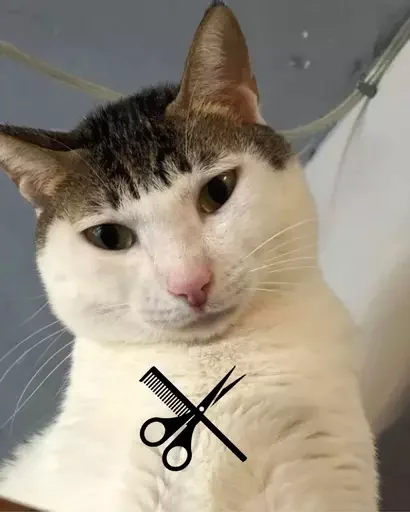✂️ Стикер «MeowBots 3» для Telegram