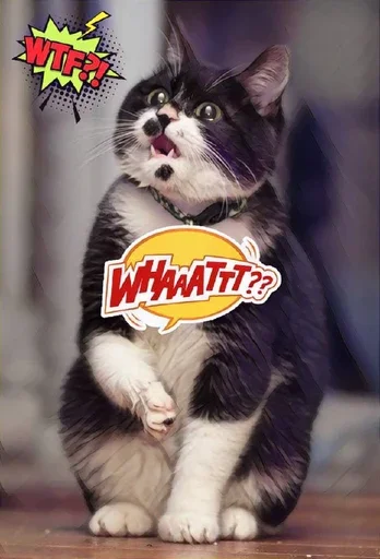 🤔 Стикер «MeowBots 3» для Telegram