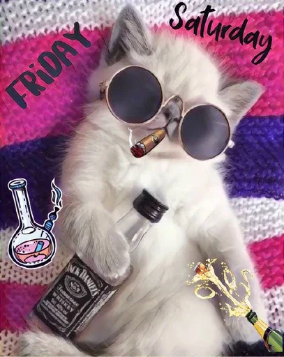 🥃 Стикер «MeowBots 3» для Telegram