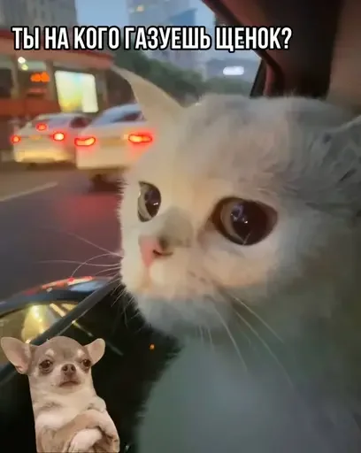 😤 Стикер «MeowBots 3» для Telegram