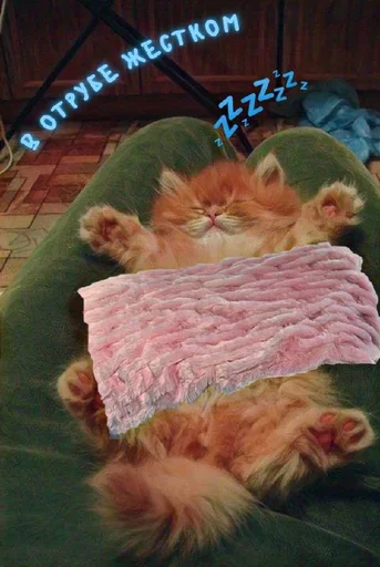 😴 Стикер «MeowBots 3» для Telegram