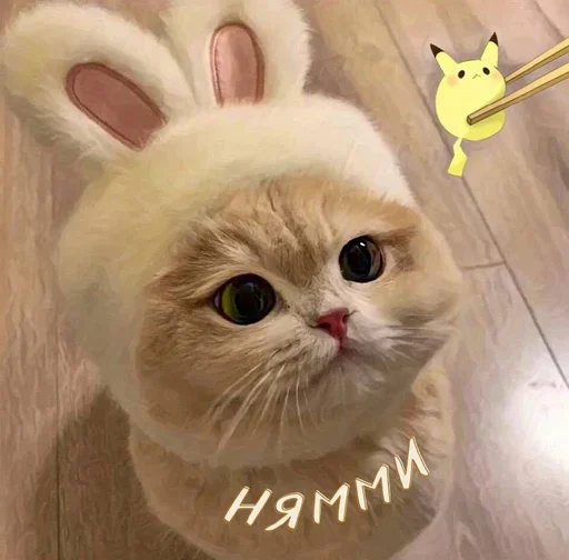 🍣 Стикер «MeowBots 3» для Telegram