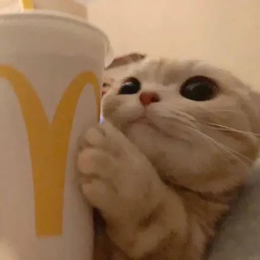 🥤 Стикер «MeowBots 3» для Telegram