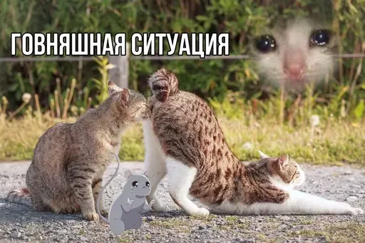 🥴 Стикер «MeowBots 3» для Telegram