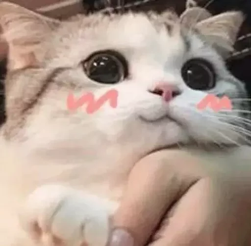 😊 Стикер «MeowBots 3» для Telegram