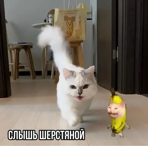 👻 Стикер «MeowBots 3» для Telegram
