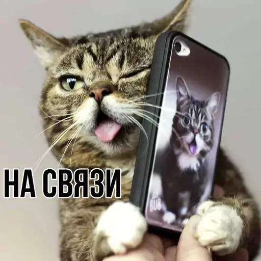 🤙 Стикер «MeowBots 3» для Telegram