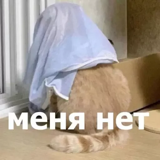 🫥 Стикер «MeowBots 3» для Telegram