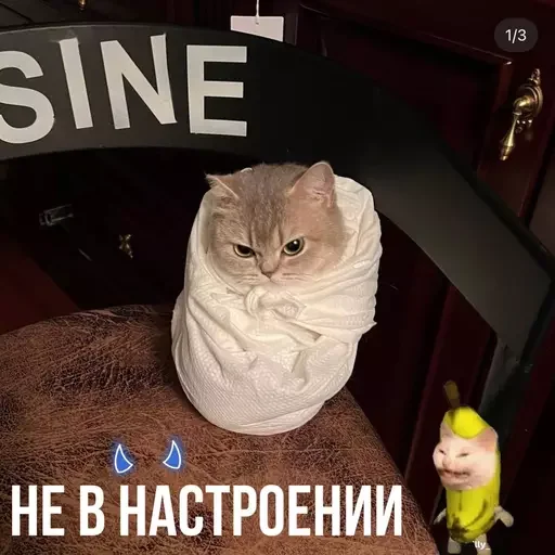 😮‍💨 Стикер «MeowBots 3» для Telegram