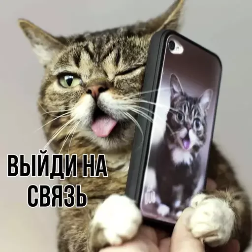 📱 Стикер «MeowBots 3» для Telegram