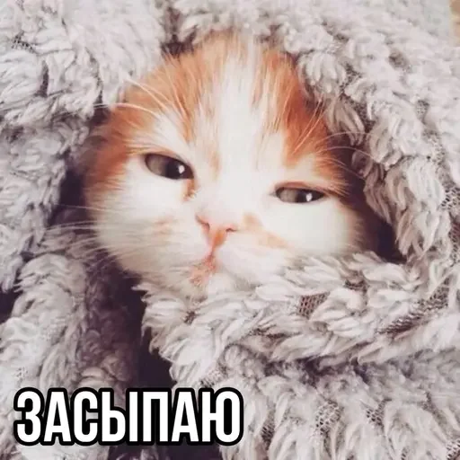 🥱 Стикер «MeowBots 3» для Telegram